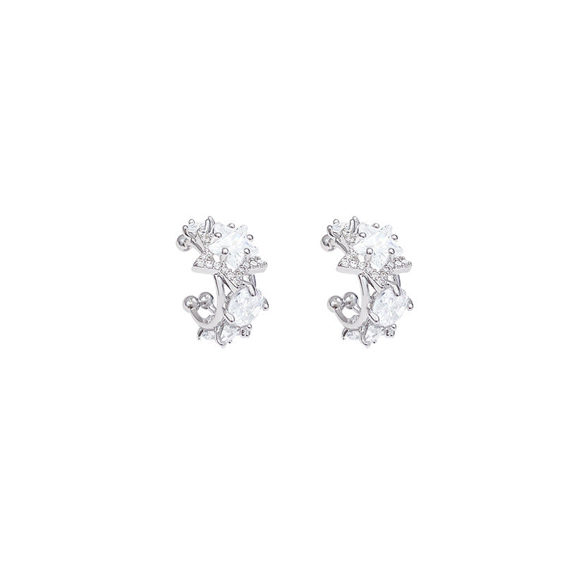 Zircon Star Earrings – Light Luxury Five-Pointed Silver Statement Pair